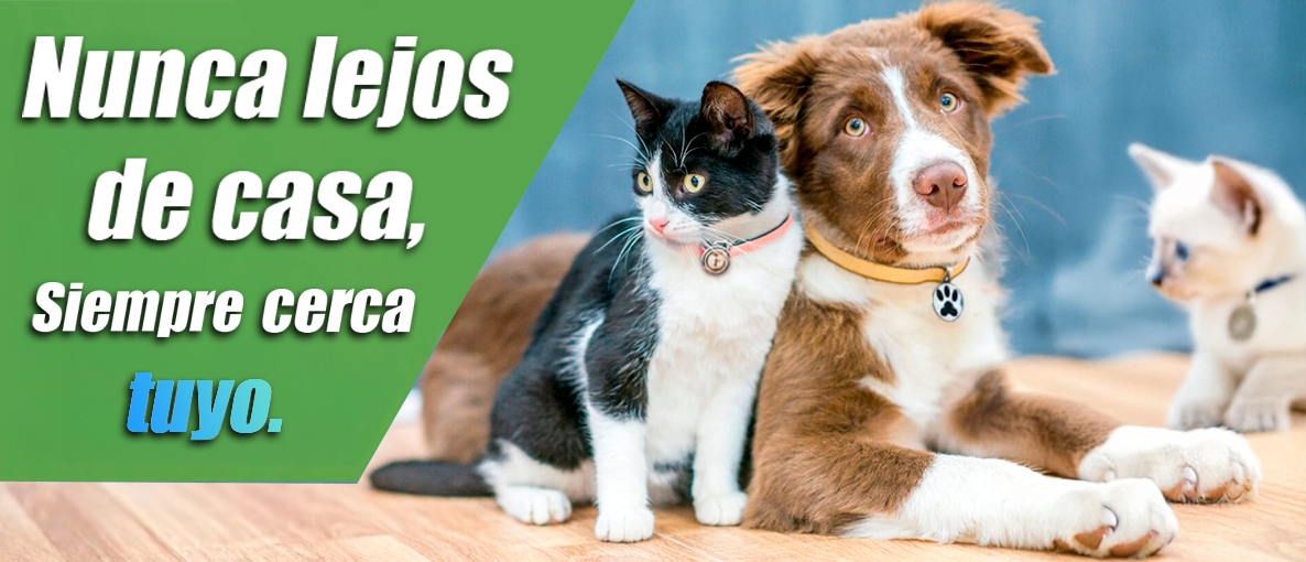 Banner promocional de Rastro Animal
